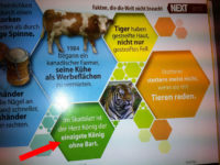 Rechtschreibung, die die Welt nicht braucht